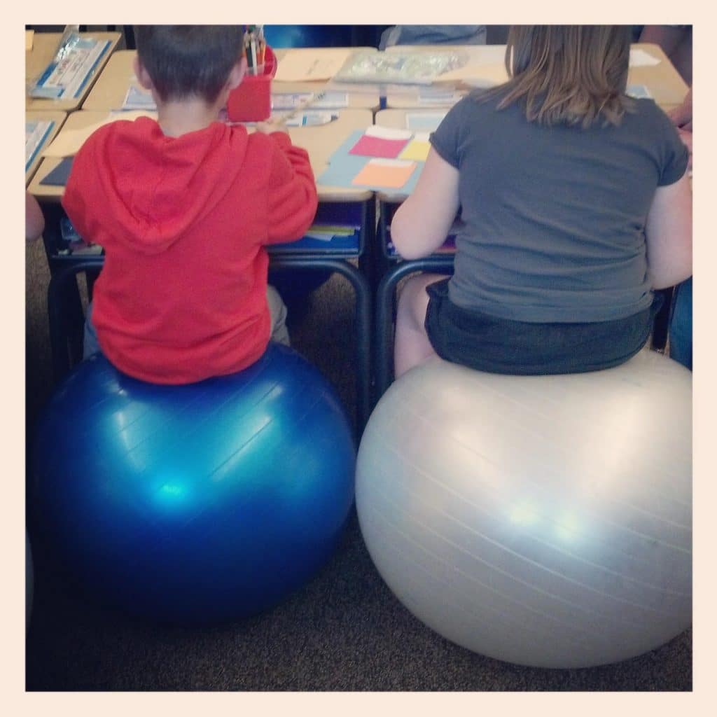 exercise ball2